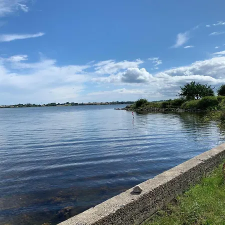 Torv Family Стеге